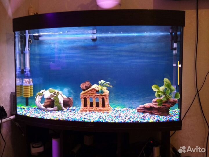 Ништяки для аквариума