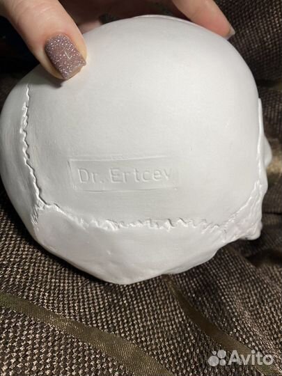 Гипсовый череп