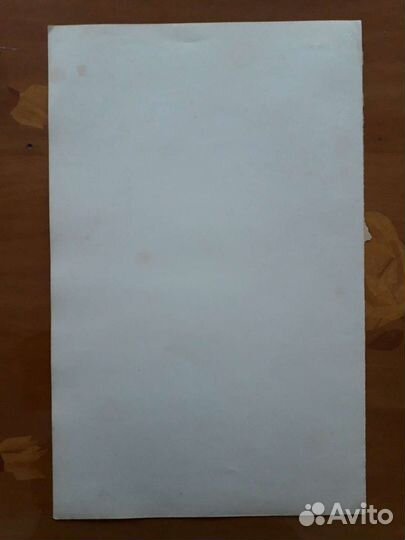 Франция, 1909 год, 56х44 см