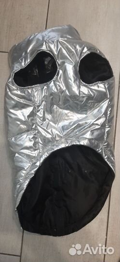 Одежда для средних собак