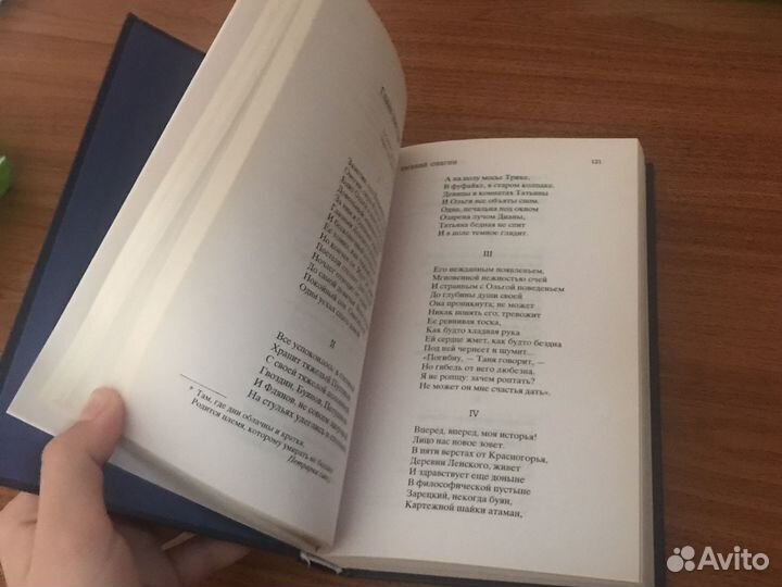 Пушкин евгений онегин