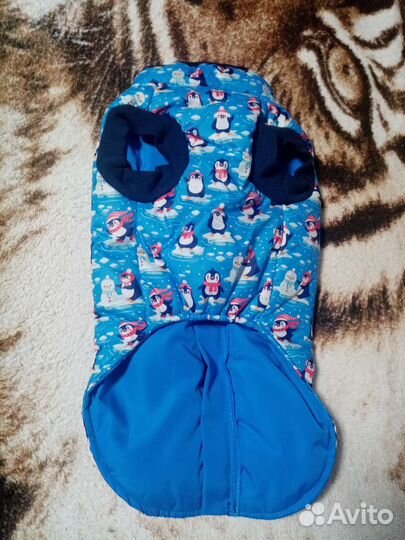 Одежда для маленьких собак