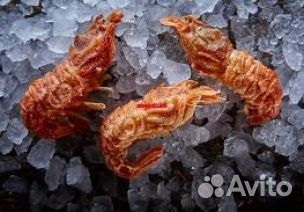 Креветка Шримс 