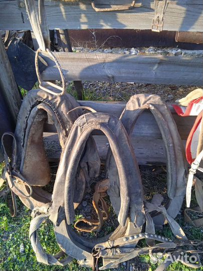 Все для лошади