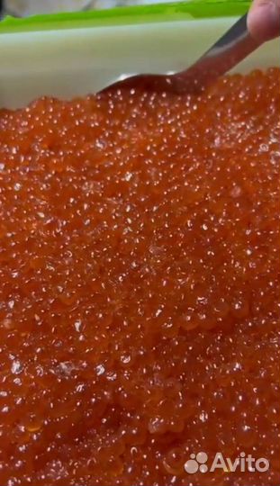 Красная икра оптом