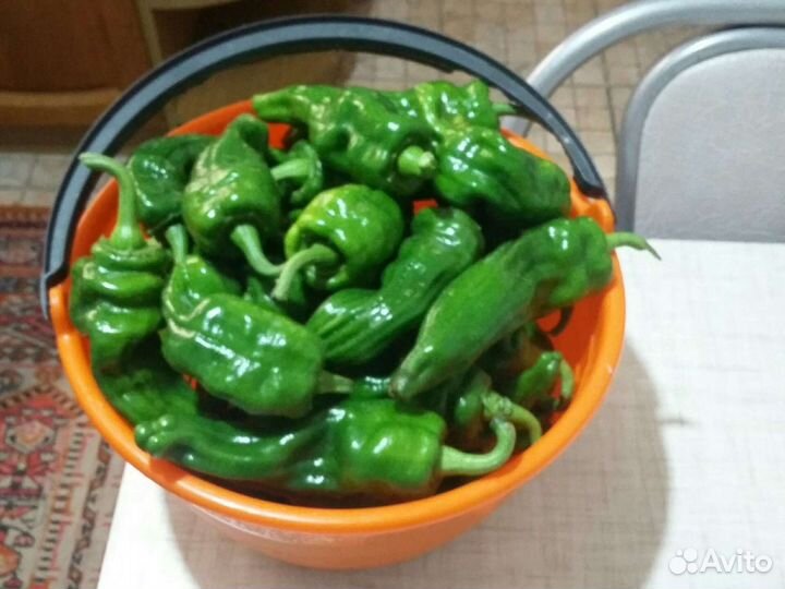 Перец супер жгучий