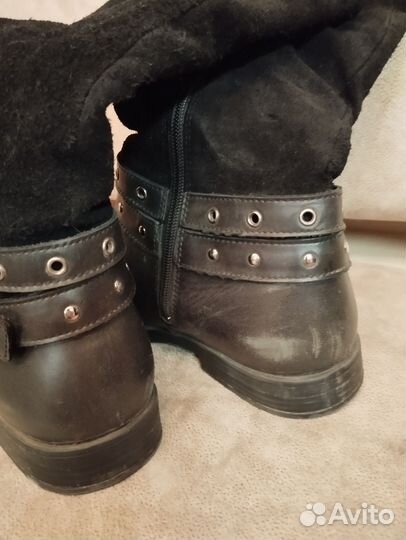 Сапоги демисезонные