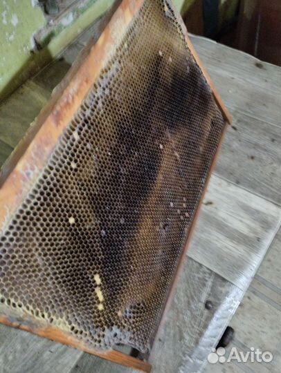 Рамки с сушью