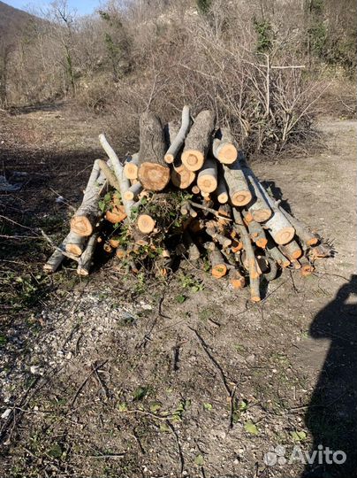 Дрова 1500 за куб