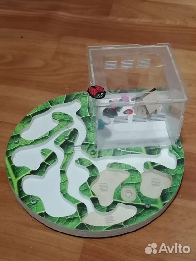 Муравьиная ферма без муравьев