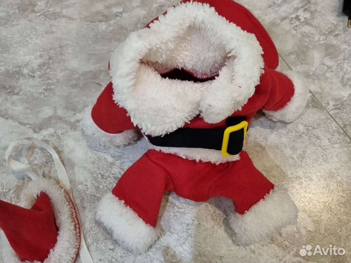 Костюм для кошки