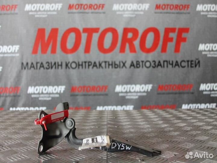 Шарнир капота DY5W/DC5W R