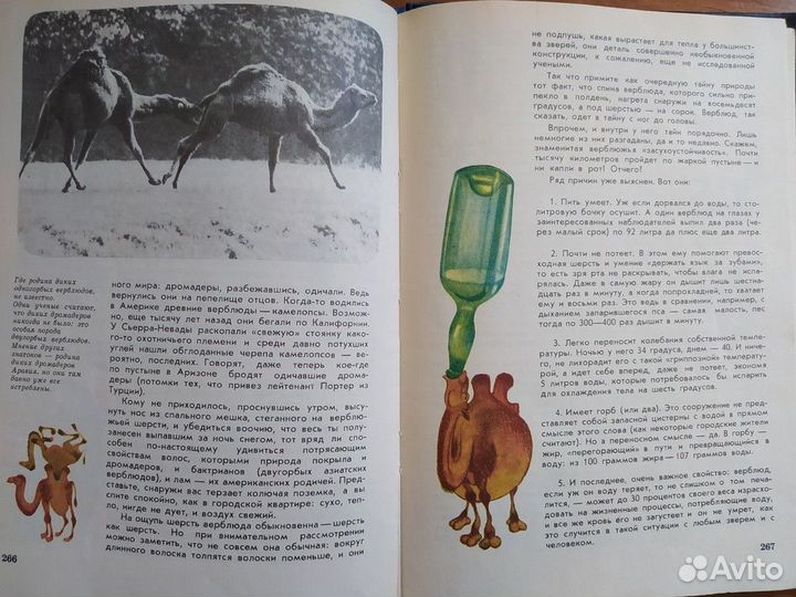 Акимушкин - Мир животных (Рассказы об утконосе.)