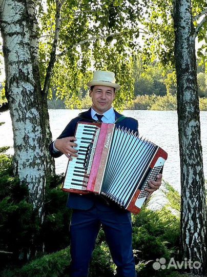 Аккордеонист, баянист, гармонист