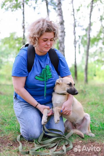 Щенок в добрые руки