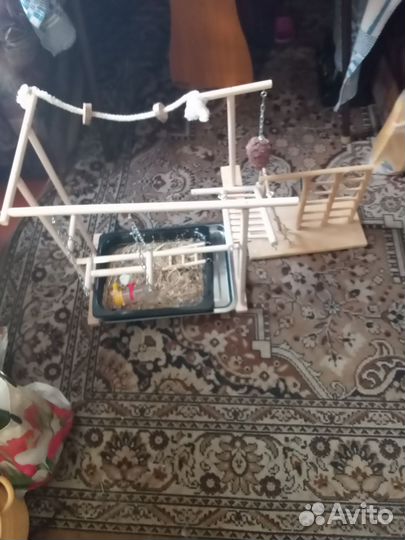 Продам клетку и всё что на фото