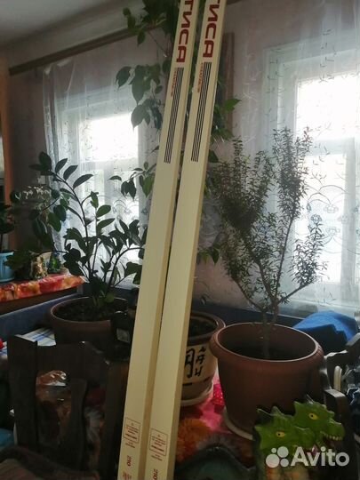 Лыжи беговые fisher, новые 210 рост