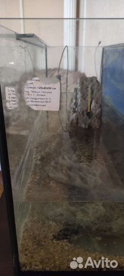 Аквариум с рыбами