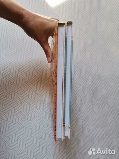 Н Кедрова Внутренний мир, Азбука эмоций