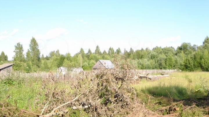 Участок 25 сот. (СНТ, ДНП)