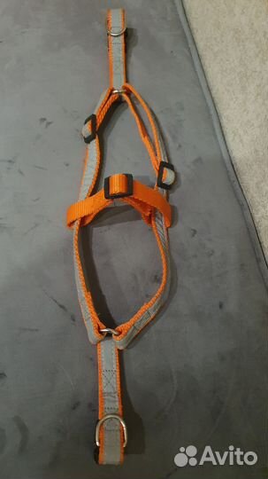Шлейка для собаки