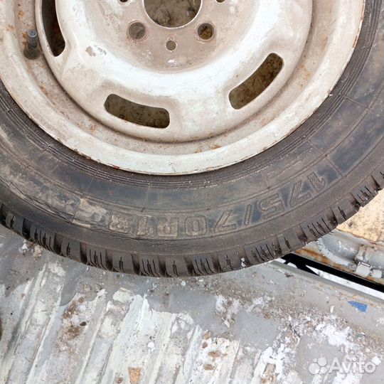 Medved Я-512 175/70 R13