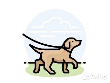 Выгул собак Любой район Уход за животными Собаки