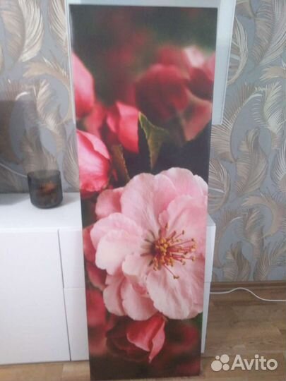 Картина сакура