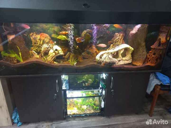 Аквариум