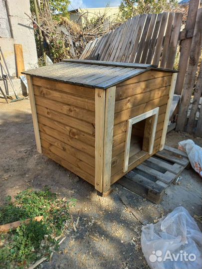 Собачья будка