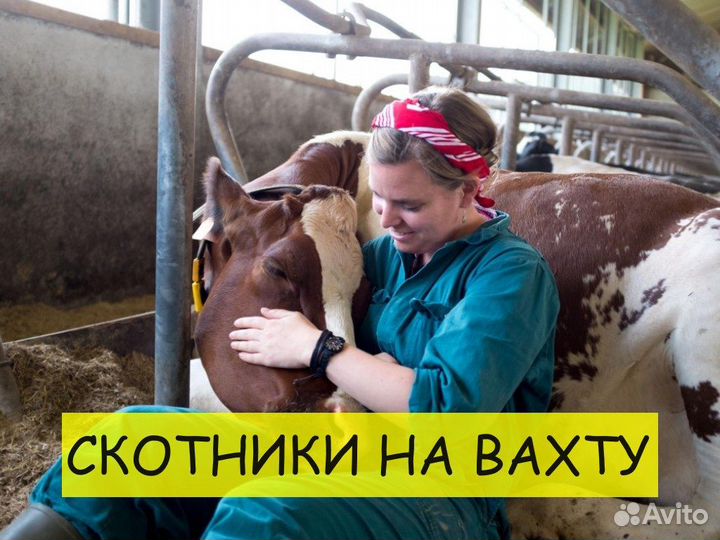 Скотник вахта с питанием/ проживанием