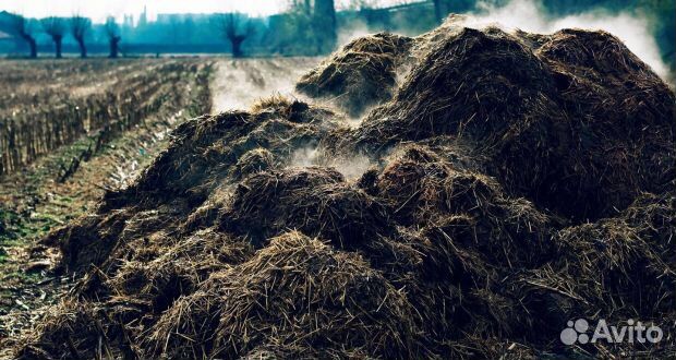 Перегной в мешках с доставкой
