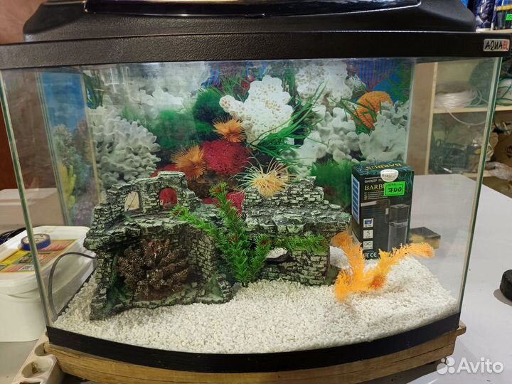 Аквариум с декором