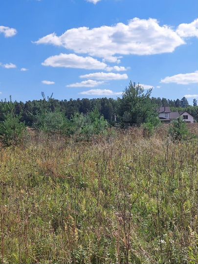 Участок 13,1 сот. (ИЖС)