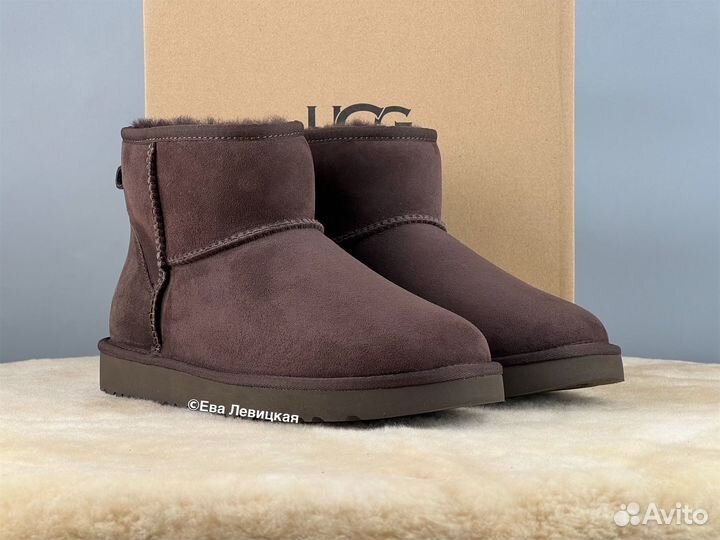 Угги мужские Ugg Mens Classic Mini II Chocolate