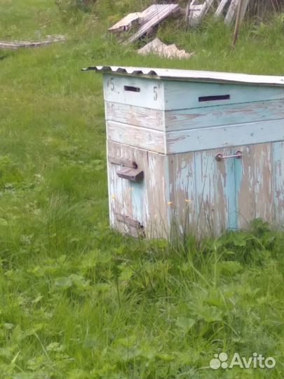 Продается Пасека