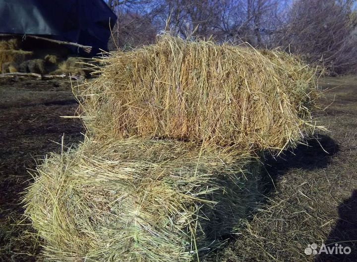 Сено и Опилки в тюках