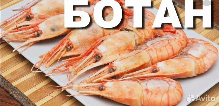 Креветка ботан