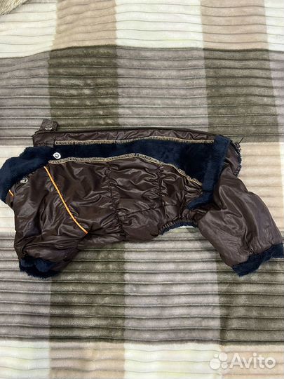 Комбинезон на маленькую собаку демисезон