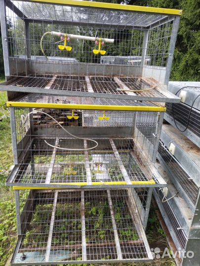 Клетки для кур несушек и бройлеров, брудеры