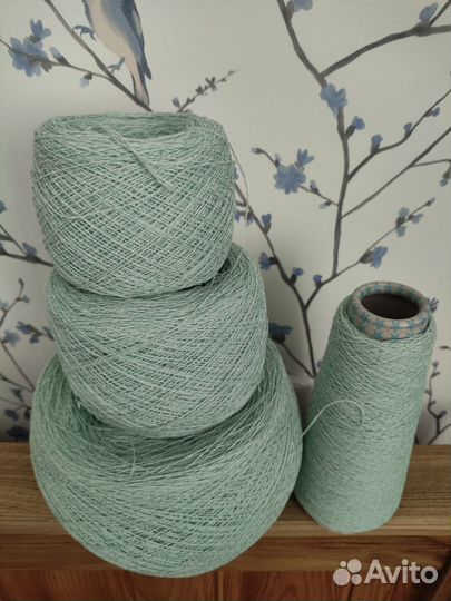 Канберра меринос