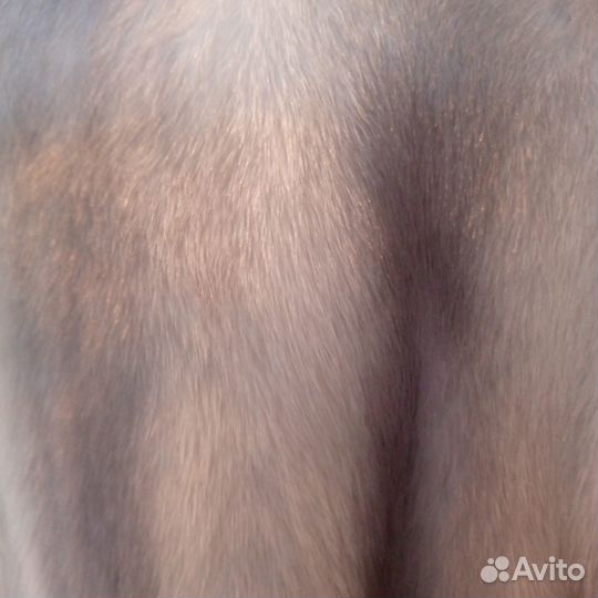 Шуба норковая 46 48 бу белая с серым