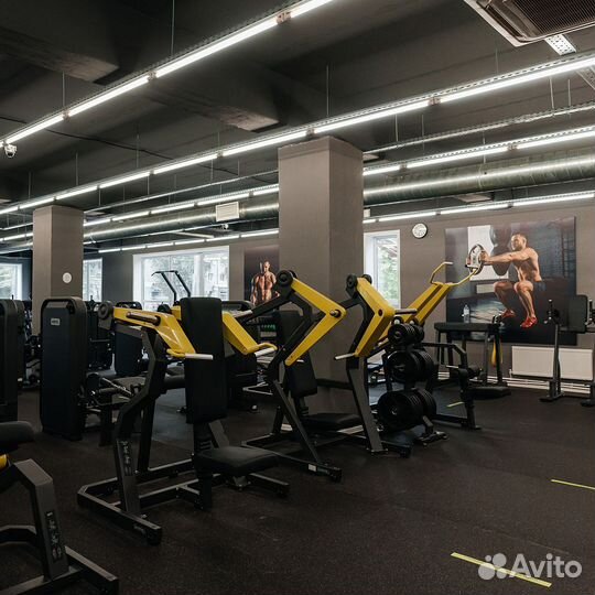 Бицепс-машина сидя 970 (Biceps Curl)