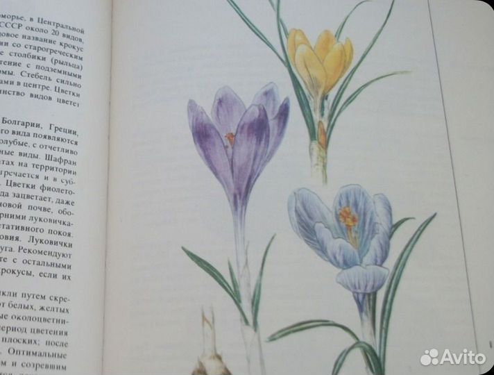 Книги по садоводству