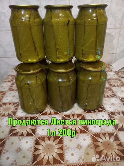 Продаю виноградные листья домашнее