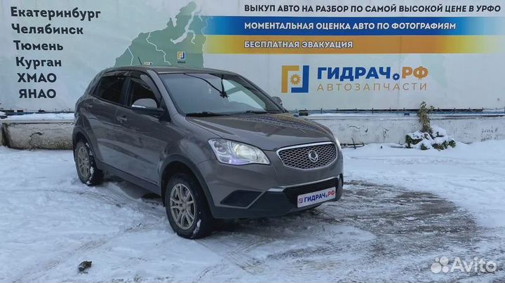 Накладка переднего крыла правого SsangYong Action