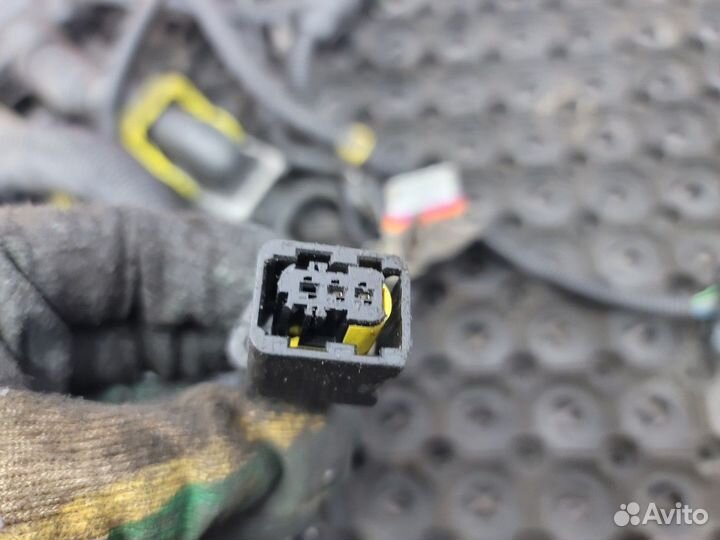 Проводка двигателя Renault Magnum