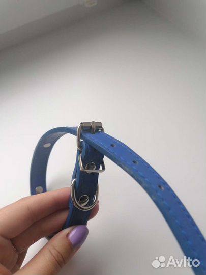 Ошейник для животных