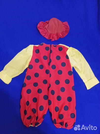 Костюм Божьей коровки