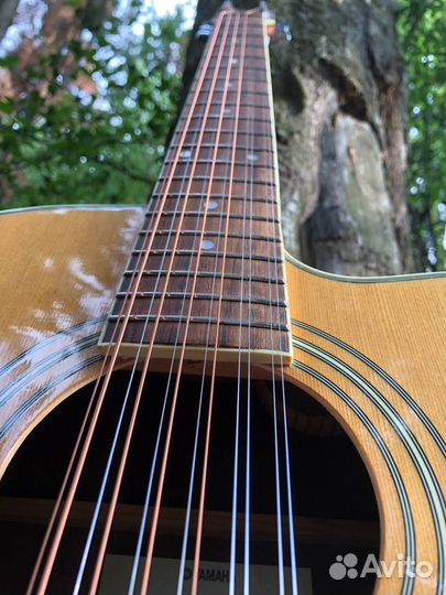 12- струнный массив Ели